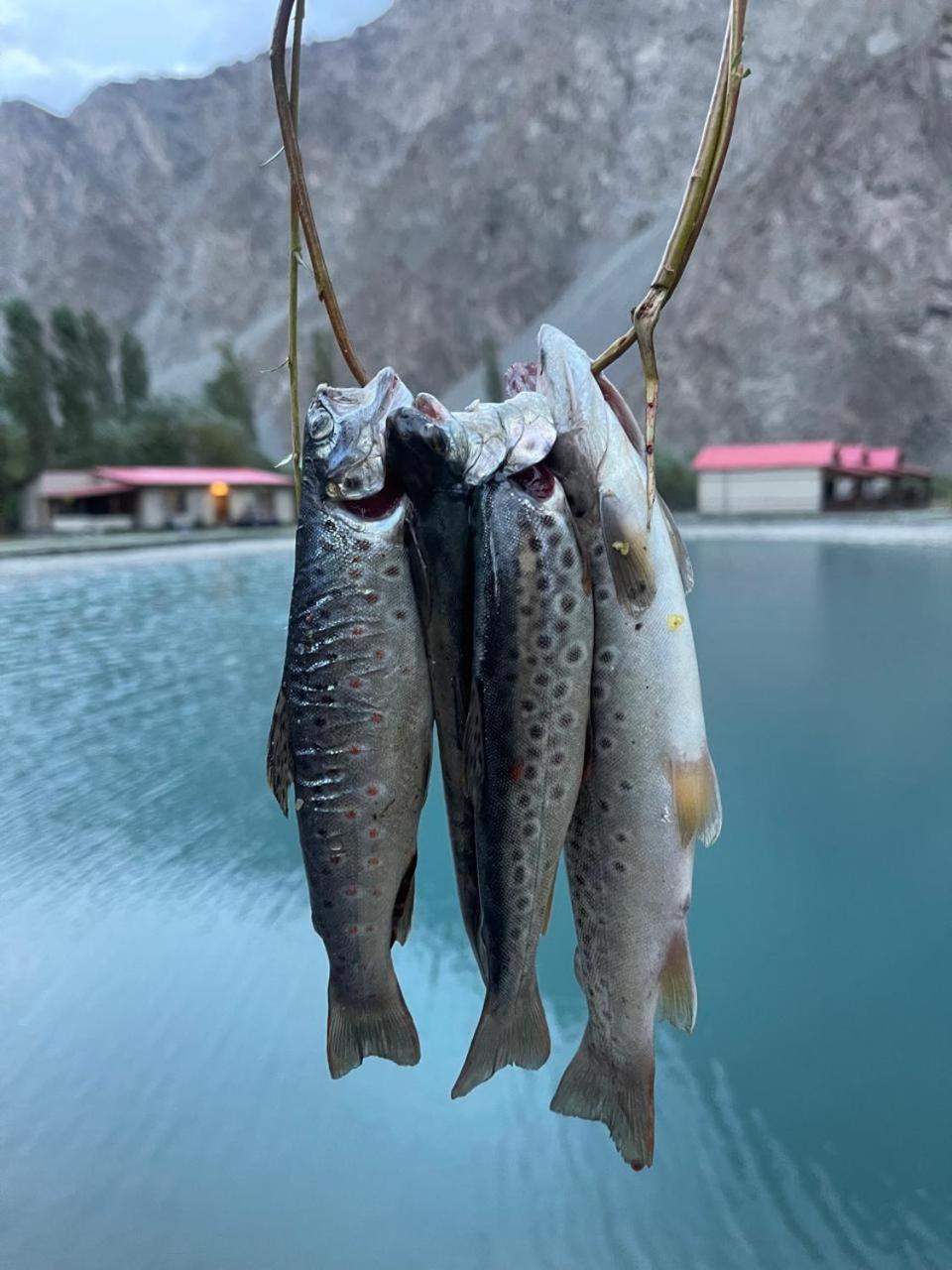 Dream Nest Resorts Skardu Exterior photo